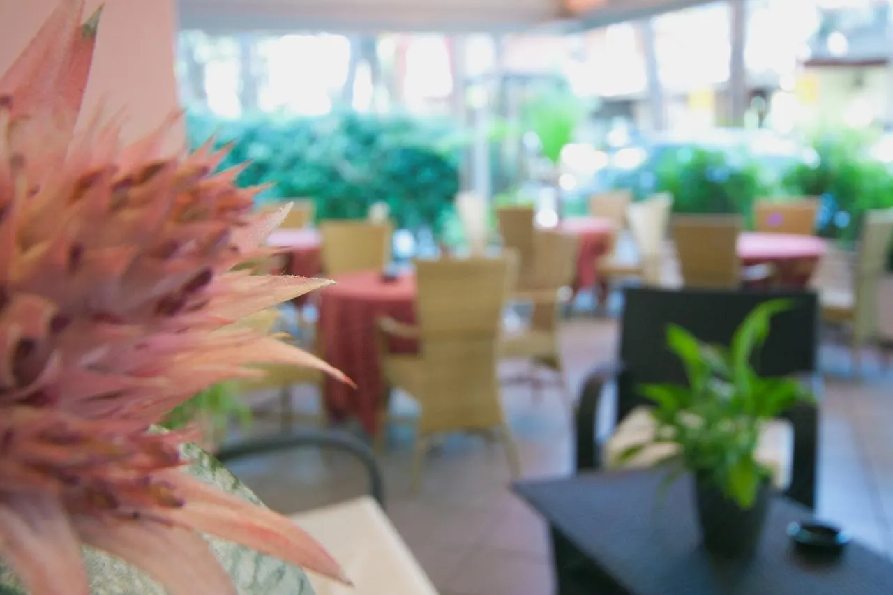Hotel Myosotis Riccione